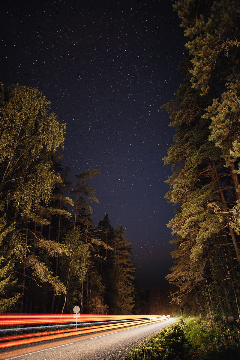 trees, road, lines, glow, stars, night, HD phone wallpaper