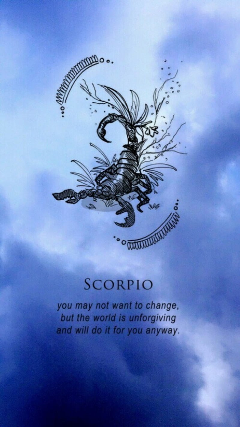Scorpio, morning, quotes, sayings, scorpion, zodiac, HD phone wallpaper |  Peakpx