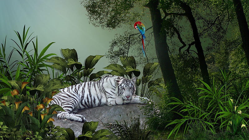White Tiger, predator, resting, parrot, reflection, cat, trees, artwork, HD wallpaper