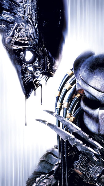 Cool Alien vs Predator Wallpapers on WallpaperDog