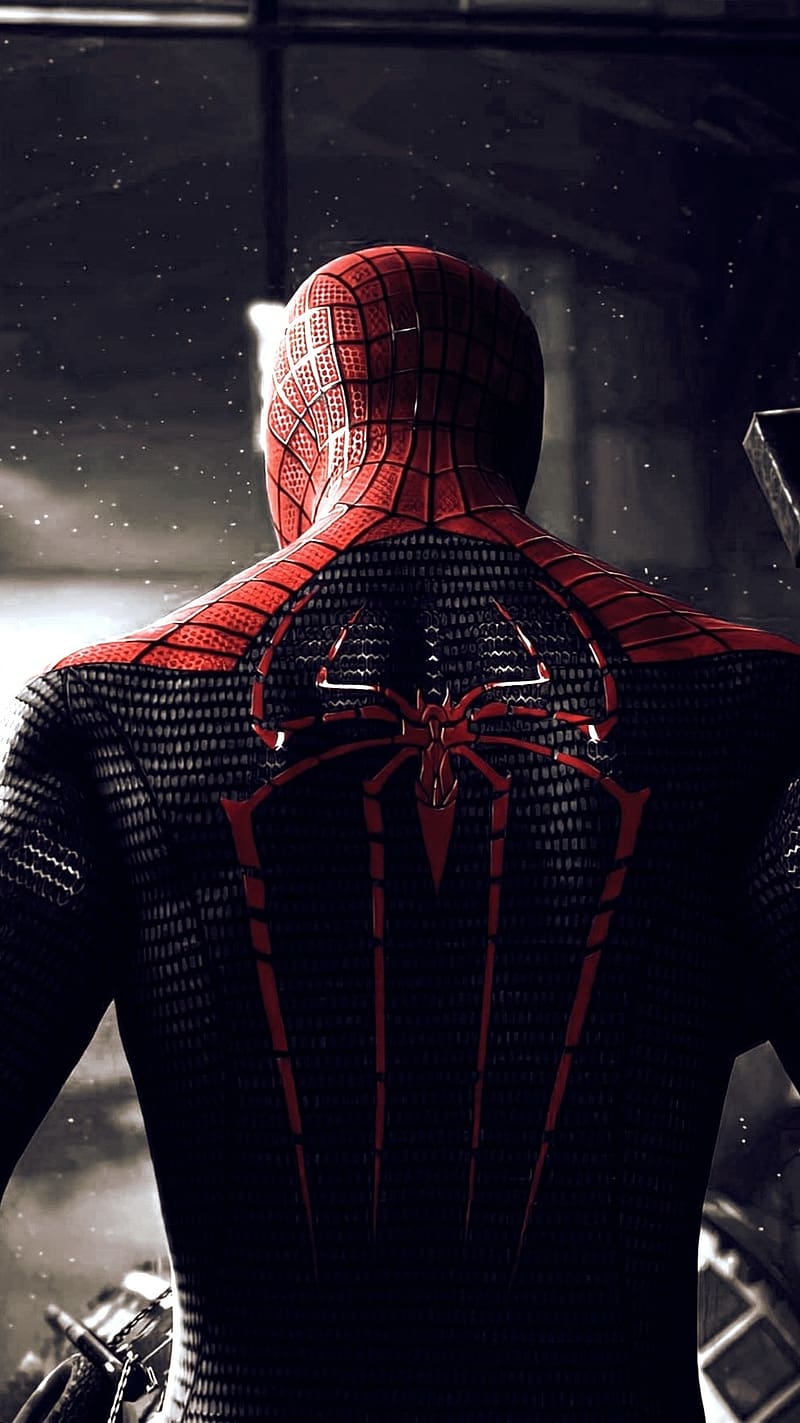 Spider Man, Backlook, superhero, marvel, HD phone wallpaper