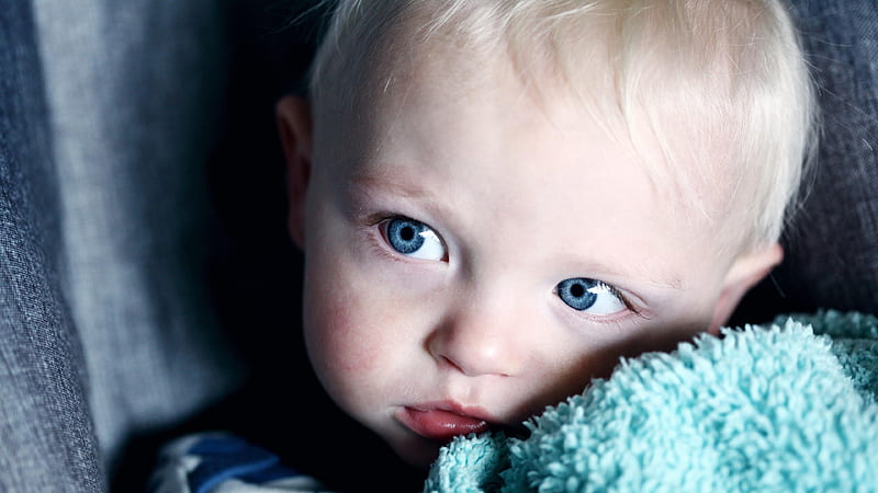 Cute Delightful Baby Boy With Blue Eyes Cute, HD wallpaper
