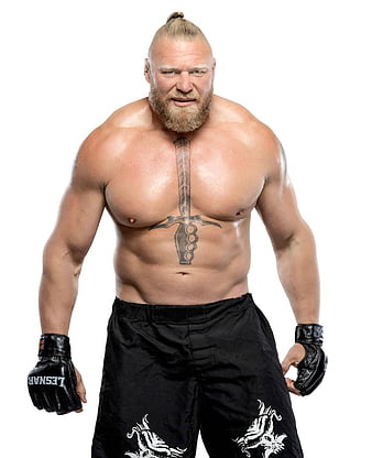 Brock Lesnar Ufc - Brock Lesnar Mma, HD Png Download - vhv