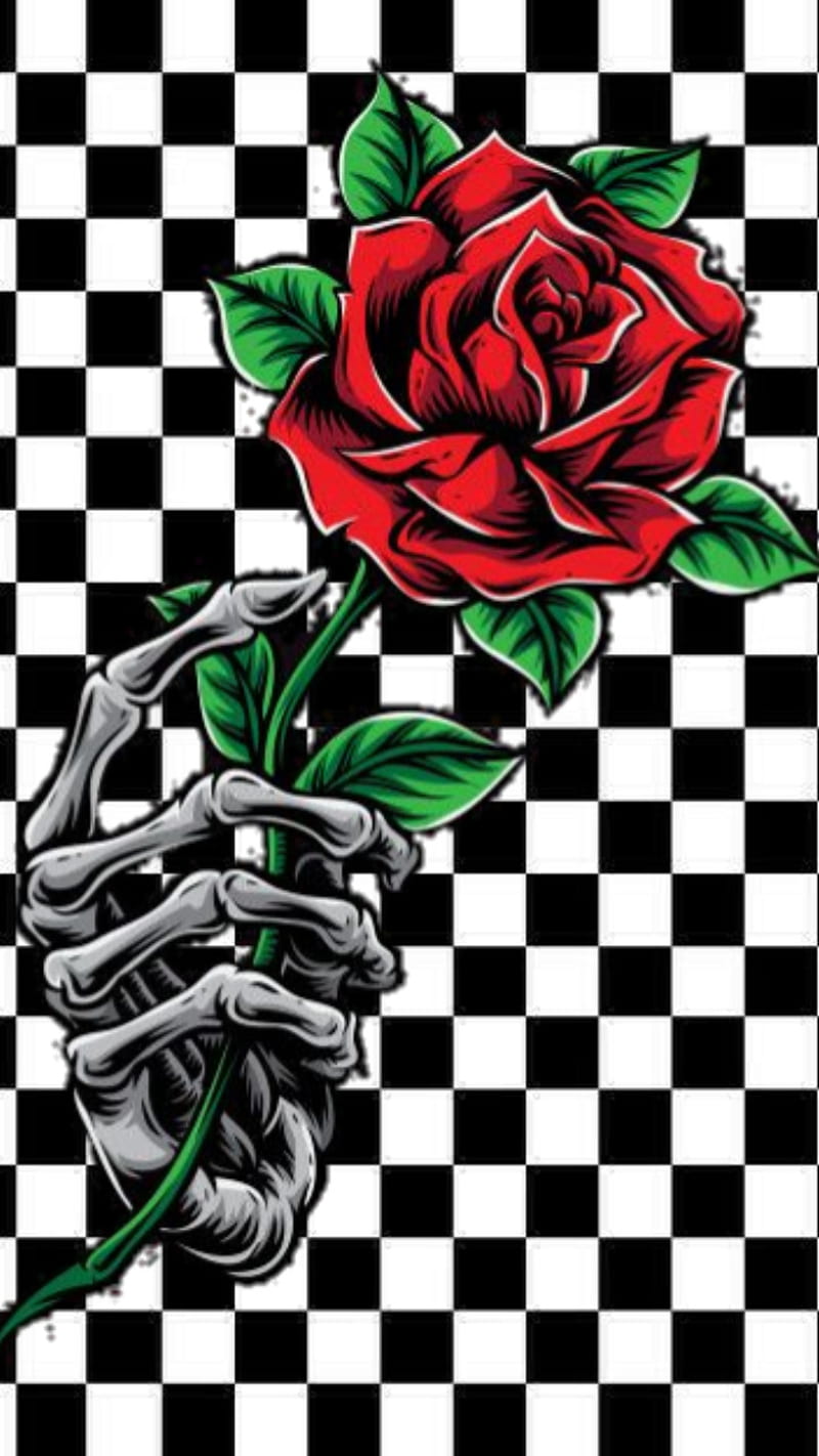 Rose , checkerboard, rose, HD phone wallpaper