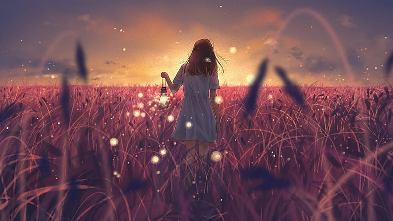 anime landscape, field, anime girl, back view, dress, fireflies, sunset, lantern, Anime, HD wallpaper
