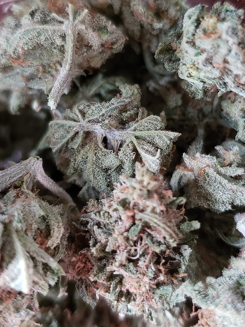 Marijuana , 420, bud, buds, flower, green, leaf, plants, pot, HD phone wallpaper