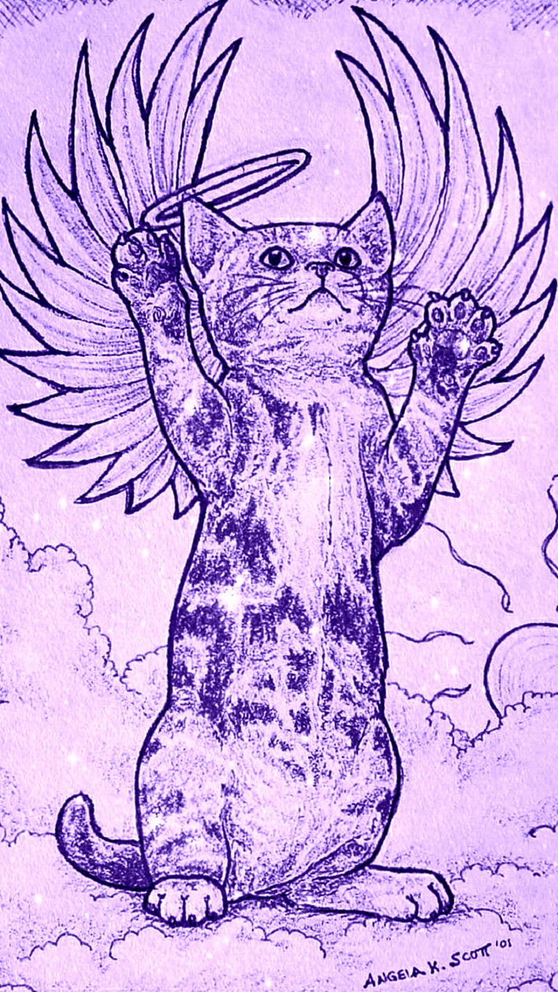 Halo Play Kitten, angel, art, cat, drawn, feline, furry, heaven, kitten, kitty, wings, HD phone wallpaper