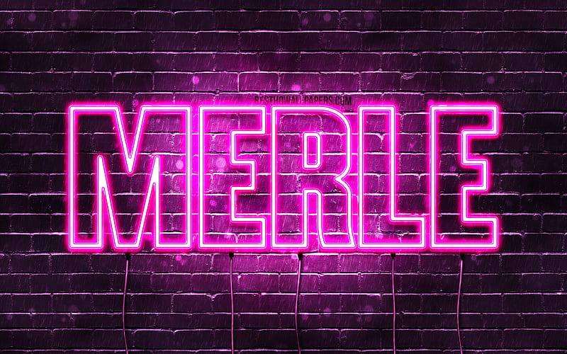 Merle with names, female names, Merle name, purple neon lights, Happy Birtay Merle, popular german female names, with Merle name, HD wallpaper