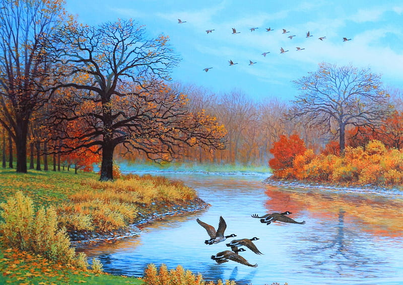 Beauty on Earth, autumn trees, snow, birds, river, trees, sky, HD wallpaper
