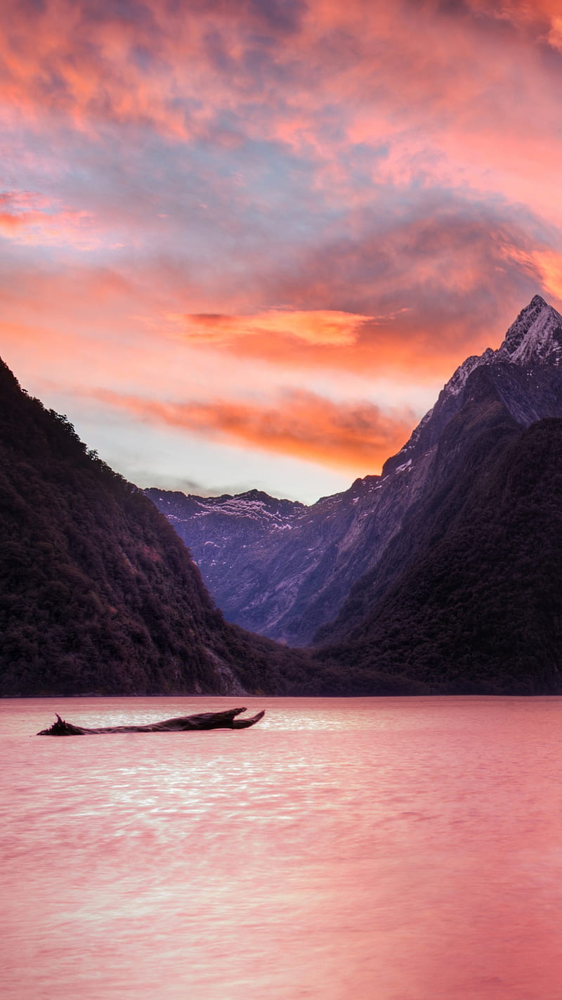 Milford Sound , milford sound, fjord, nature, mountain, driftwood, peak, new zealand, sunset, HD phone wallpaper