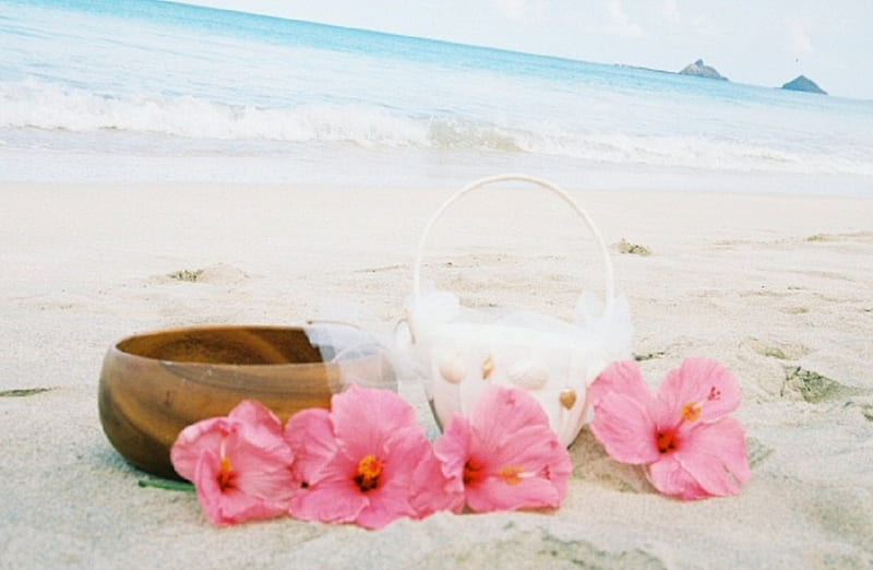 flower basket on the beach, flower, beach, basket, wooden bowl, HD wallpaper