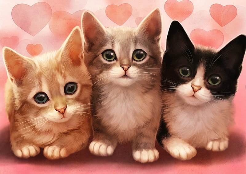 Download Twin Feline Harmony - Matching Cat Pfp Wallpaper