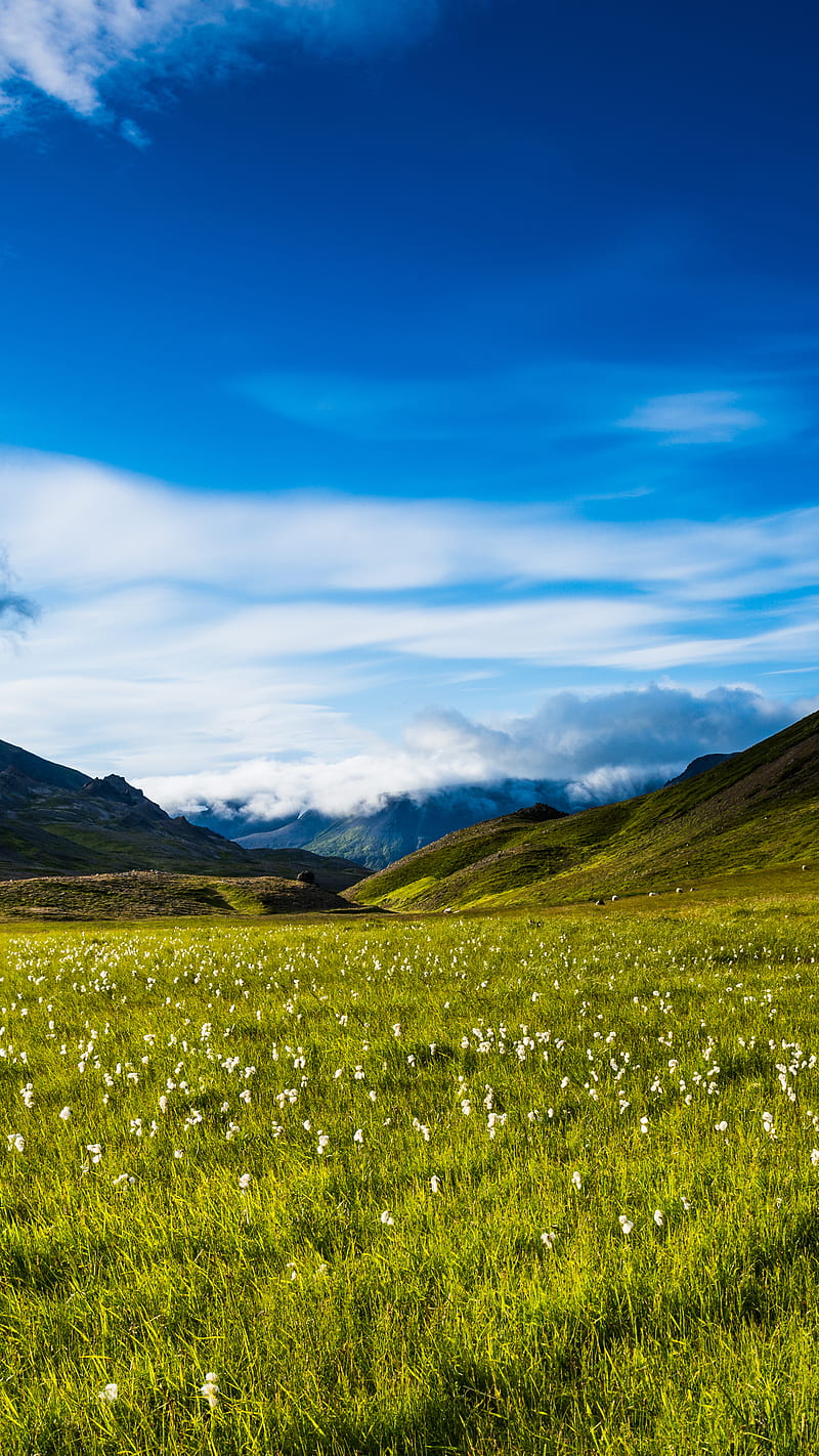 Blue sky, grass, iceland, landscape, nature, HD phone wallpaper