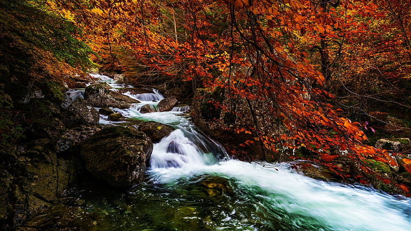 Salenques River, Posets-Maladeta Natural Park, Aragon, Spain, rocks, water, leaves, trees, colors, cascades, autumn, HD wallpaper