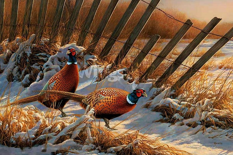 Late Autumn Day, fence, snow, painting, birds, pheasants, artwork, field, HD wallpaper