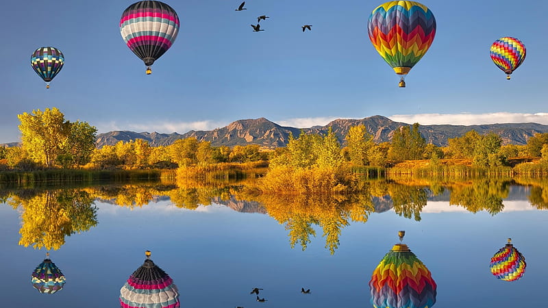 hot air balloons, colorful, lakes, trees, lake, aircraft, balloon, air, flying, balloons, hot, nature, reflection, hill, night, HD wallpaper