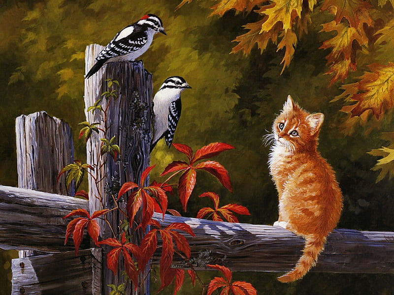 Red Tabby and Woodpeckers, fence, autumn, woodpeckers, curious, birds, trees, cat, leaves, plants, kitten, HD wallpaper