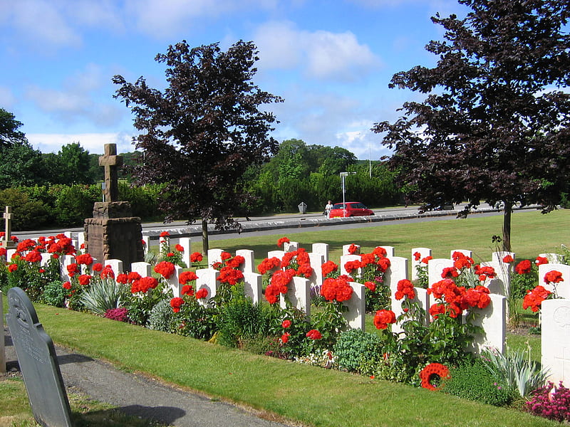 War Graves Canada part 3, head stones, rosers, green grass, blue sky, trees, HD wallpaper