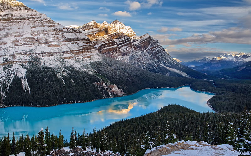 Canada, Peyto Lake, winter, Banff National Park, forest, Canadian Rockies, mountains, North America, HD wallpaper