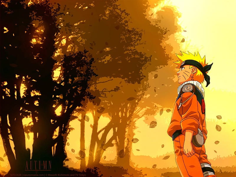 Naruto, forest, boy, orange, anime, full, HD wallpaper