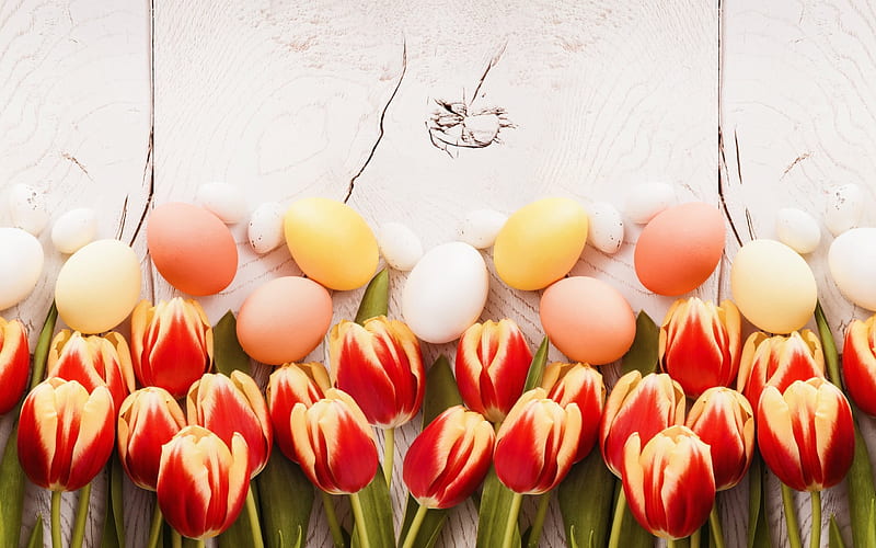 Easter, red tulips, spring, easter decoration, HD wallpaper