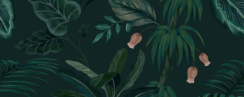 Design Lush Tropical Dark Green Jungle Leaves, HD wallpaper