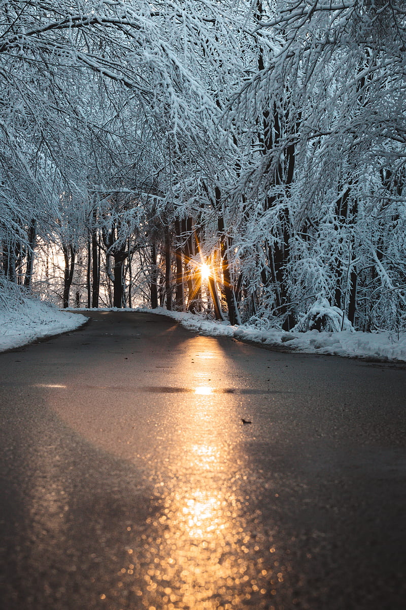 road, snow, sun, winter, nature, HD phone wallpaper