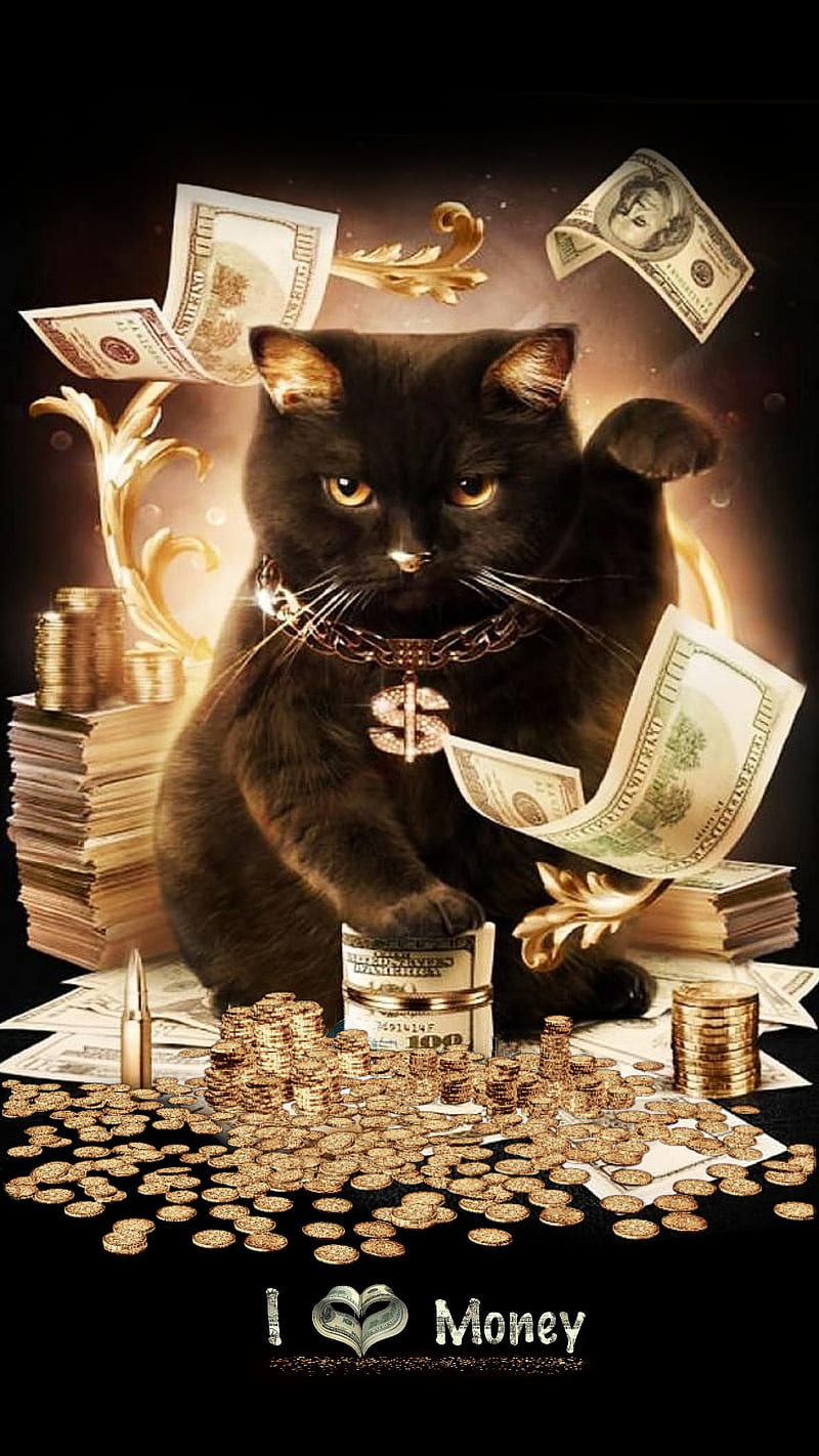 Money cat, black, love gold, HD phone wallpaper