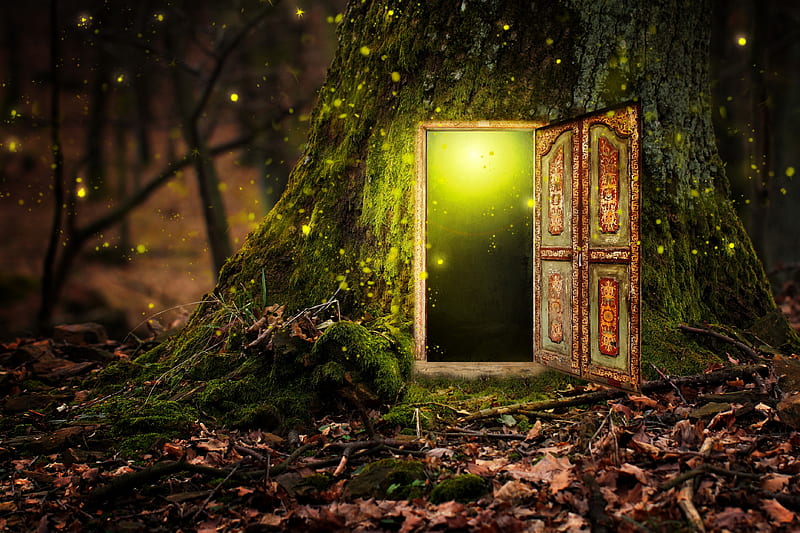 Fairytale door, art, woods, magical, bonito, fairytale, enchanted, night, door, HD wallpaper