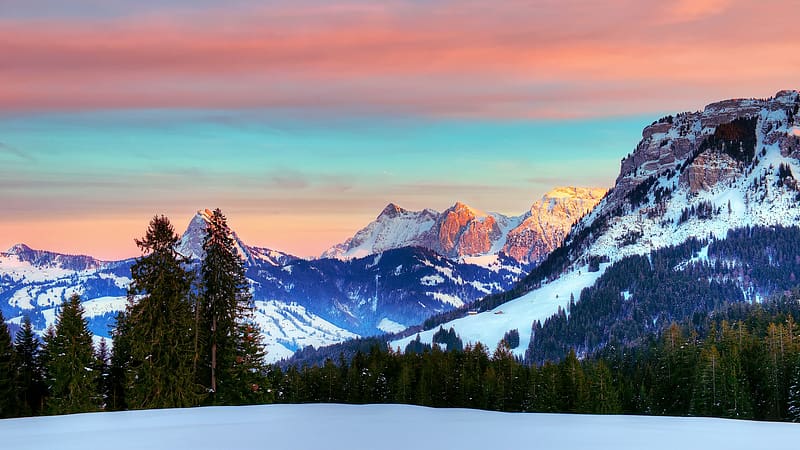 Winter Sunset in Swiss Alps, trees, landscape, rocks, mountains, snow, HD wallpaper