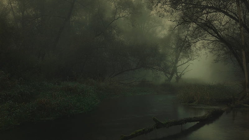 Dark Forest, forest, nature, river, trees, HD wallpaper