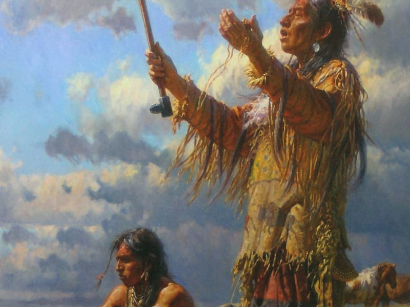 Buffalo Dreamer, natives, wild, teachings, strong, HD wallpaper