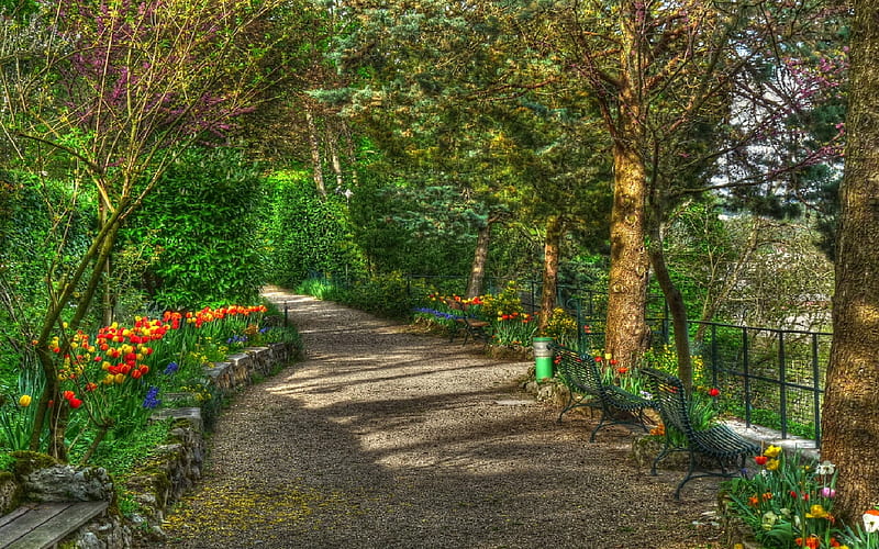 Les jardins du foyer de la Roche dOr, jardin, flower, path, peaceful, trees, HD wallpaper