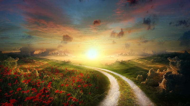 Country Road to Sunrise, Blue, Road, Orange, Sky, Grass, Brightness, Skies, Trees, Clouds, Colored Clouds, Fields, Flowers, Sunrise, HD wallpaper