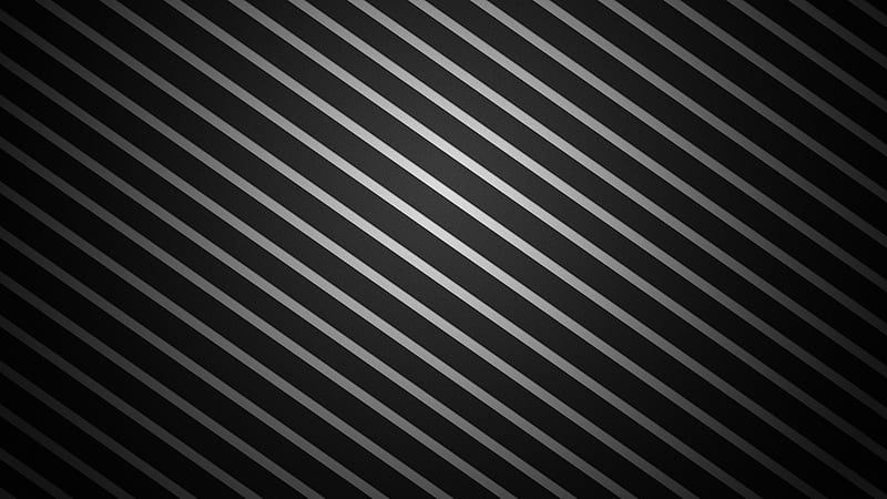 Texture, stripes, bw, black, skin, white, HD wallpaper