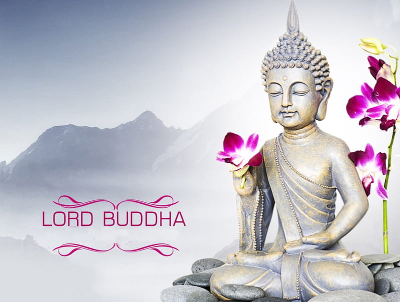Lord Buddha, buddha, flower, lord, meditation, HD wallpaper