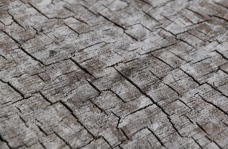 wood, cranny, wooden, log, HD wallpaper