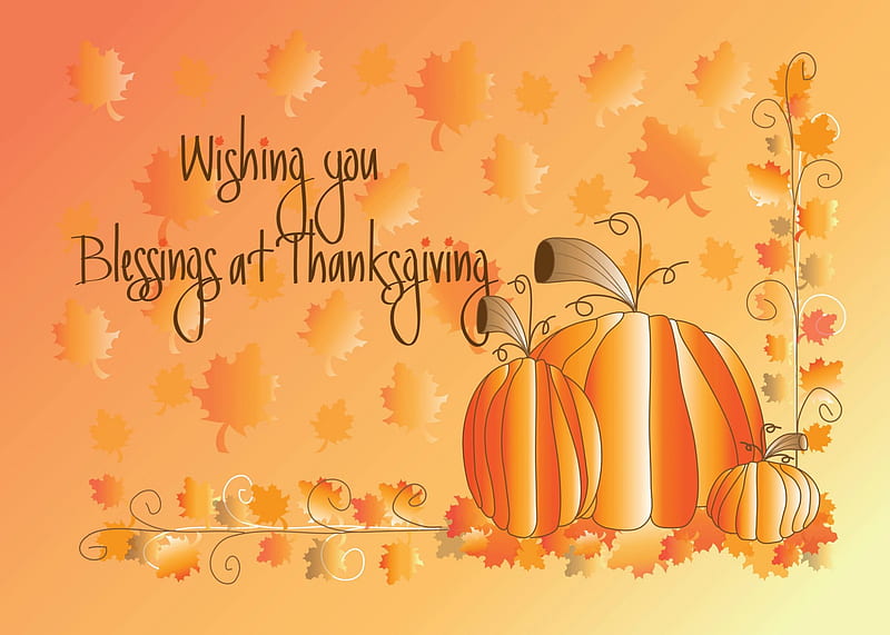 Thanksgiving Day Wishes, Fall, leaves, Thanksgiving, holiday, vines, Autumn, pumpkins, HD wallpaper