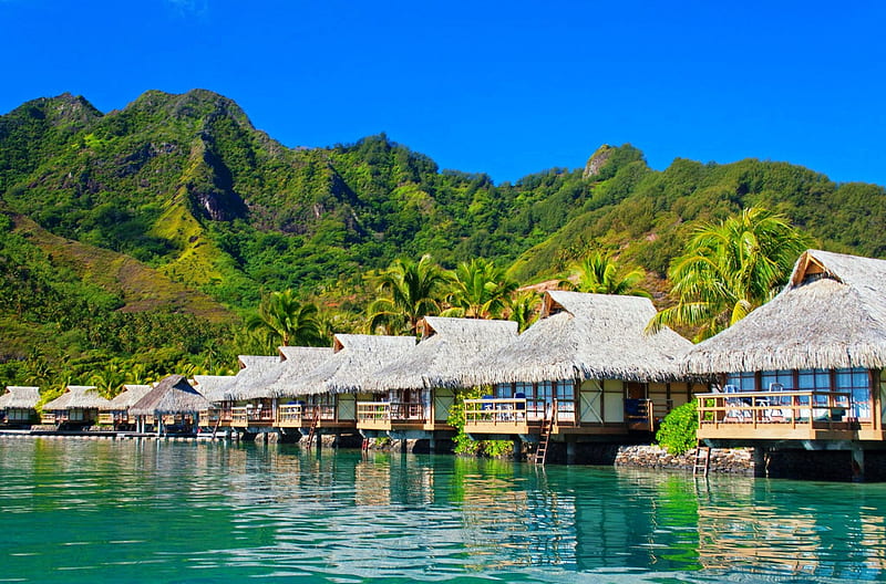 Moorea Island, French Polynesia, resort, holidays, dive, tourism, travel, bonito, palm trees, emerald water, paradise, mountains, bungalows, summer, Pacific Ocean, island, tropical, HD wallpaper