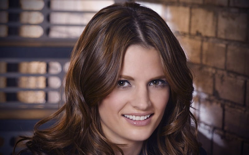 Beautiful Stana Katic, Castle, American, Canadian, Quantum of Solace, Actor, HD wallpaper