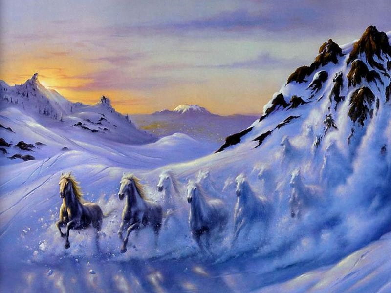 snowy horses, nature, animals, HD wallpaper