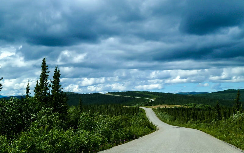 Taylor Highway in the Yukon Territories that goes to Alaska, Highway, Forest, Canada, Yukon, HD wallpaper