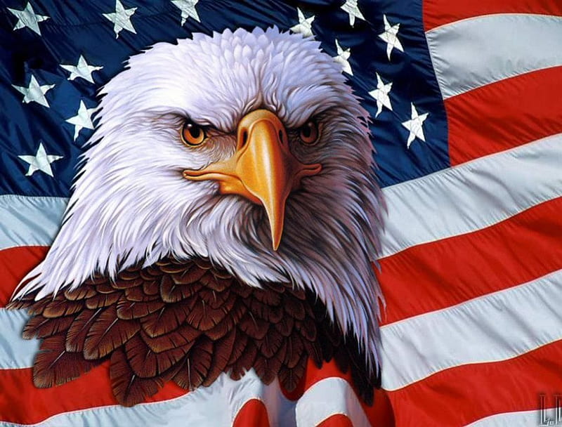 American Eagle, Flag, raptor, symbol, artwork, HD wallpaper