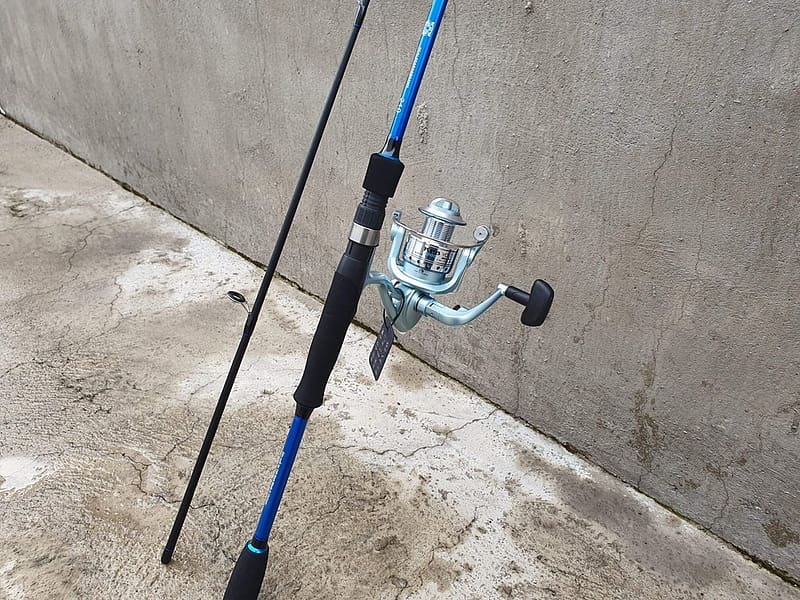 Choosing a motor fishing rod is optimal for fishing enthusiasts