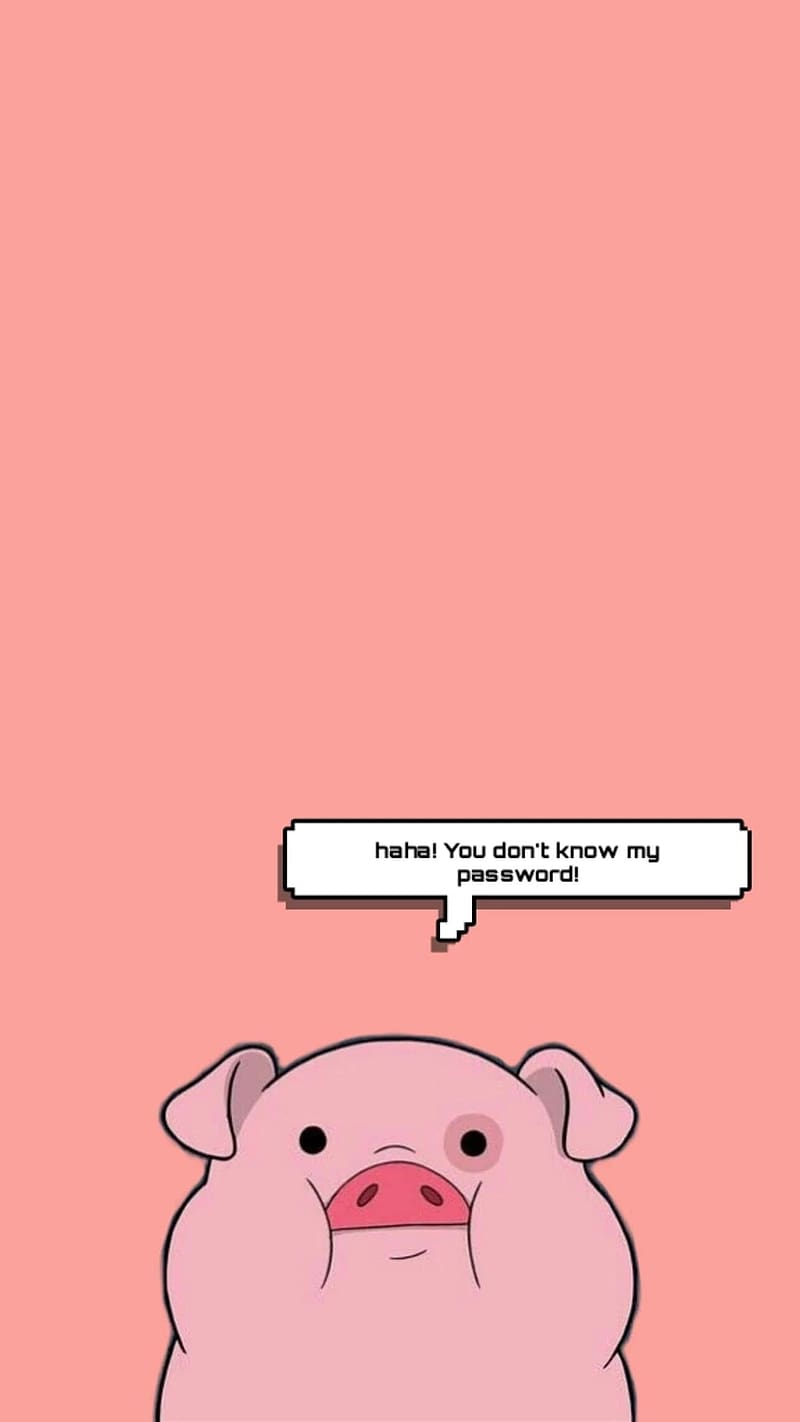 Haha You Don't Know My Password, Cute Pig, animal, HD phone wallpaper