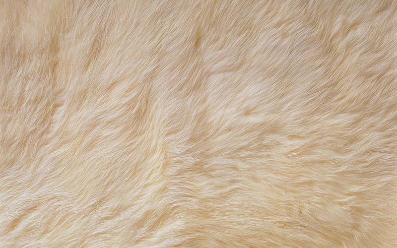 Premium AI Image  Realistic high definition fur Brown and white fur  pattern Fur wallpaper
