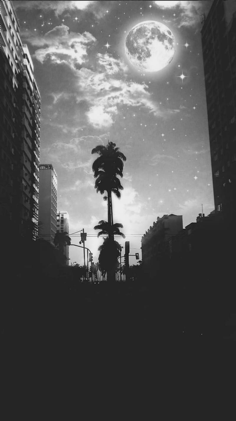 Noite Estrelada , black, black and white, earth, edificios, landscape, HD phone wallpaper