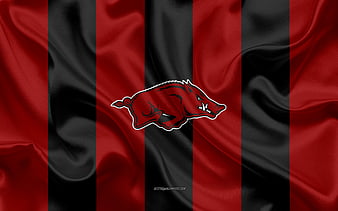 Get a Set of 12 Officially NCAA Licensed Arkansas Razorbacks iPhone  Wallpapers sized precisely for   Arkansas razorbacks Arkansas razorbacks  football Razorbacks