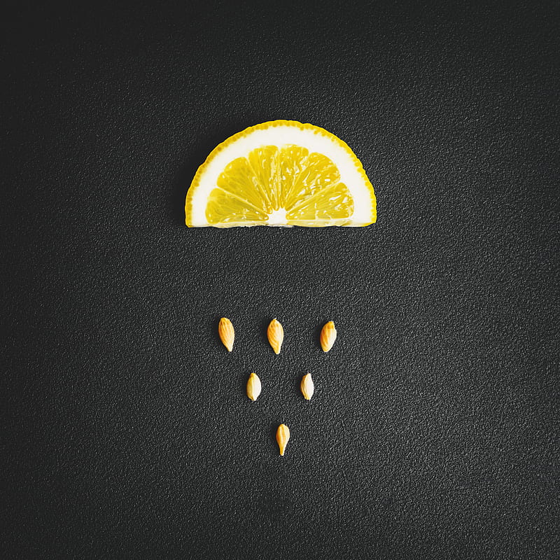 lemon, seeds, texture, HD phone wallpaper