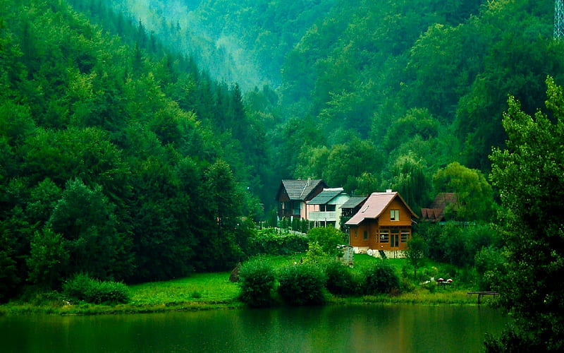FOREST HOUSES, forest, plank, green, refreshing, houses, river, scenery, HD wallpaper